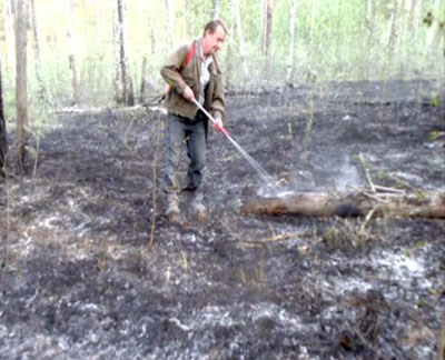  10 мая горел лес и дачный дом