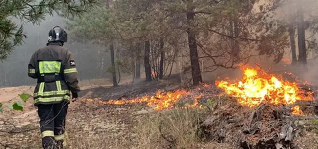 Ситуация с лесными пожарами